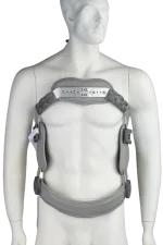 חגורת גב Jewett