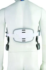 ⁦חגורת גב Jewett⁩ – תמונה ⁦4⁩